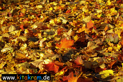 Herbstturnstunde Blaetter40 - Bewegung und Sinne - Turnen mit Blättern
