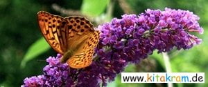 Fruehling Schmetterling - Sprachförderung im Frühling - Fingerspiele und Gedichte