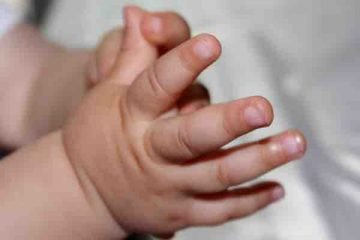Babyzeichensprache - Babyzeichensprache