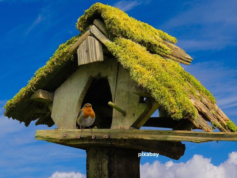 Ein „Hingucker“ – Bunte Vogelhäuser